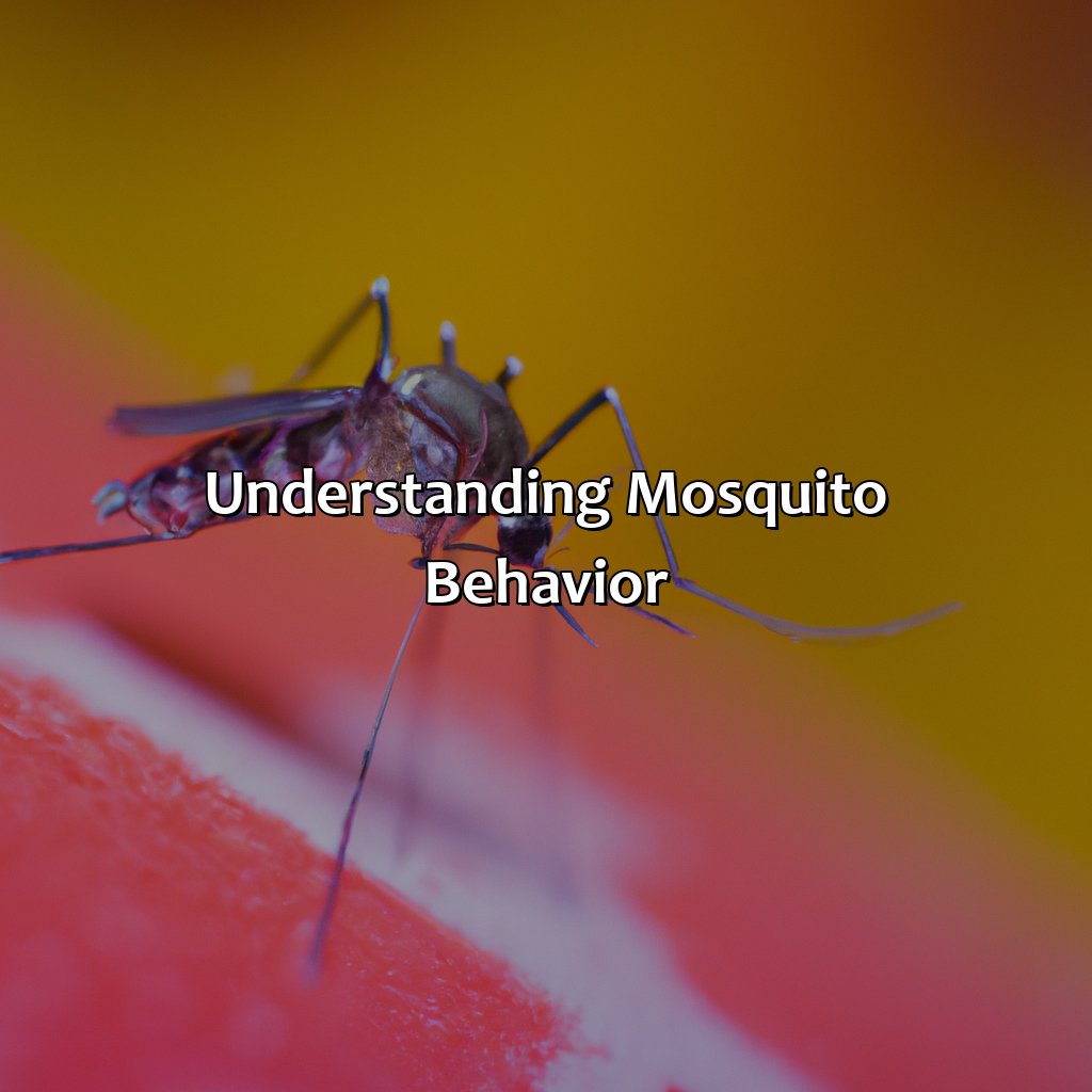 Understanding Mosquito Behavior  - What Color Do Mosquitoes Hate, 