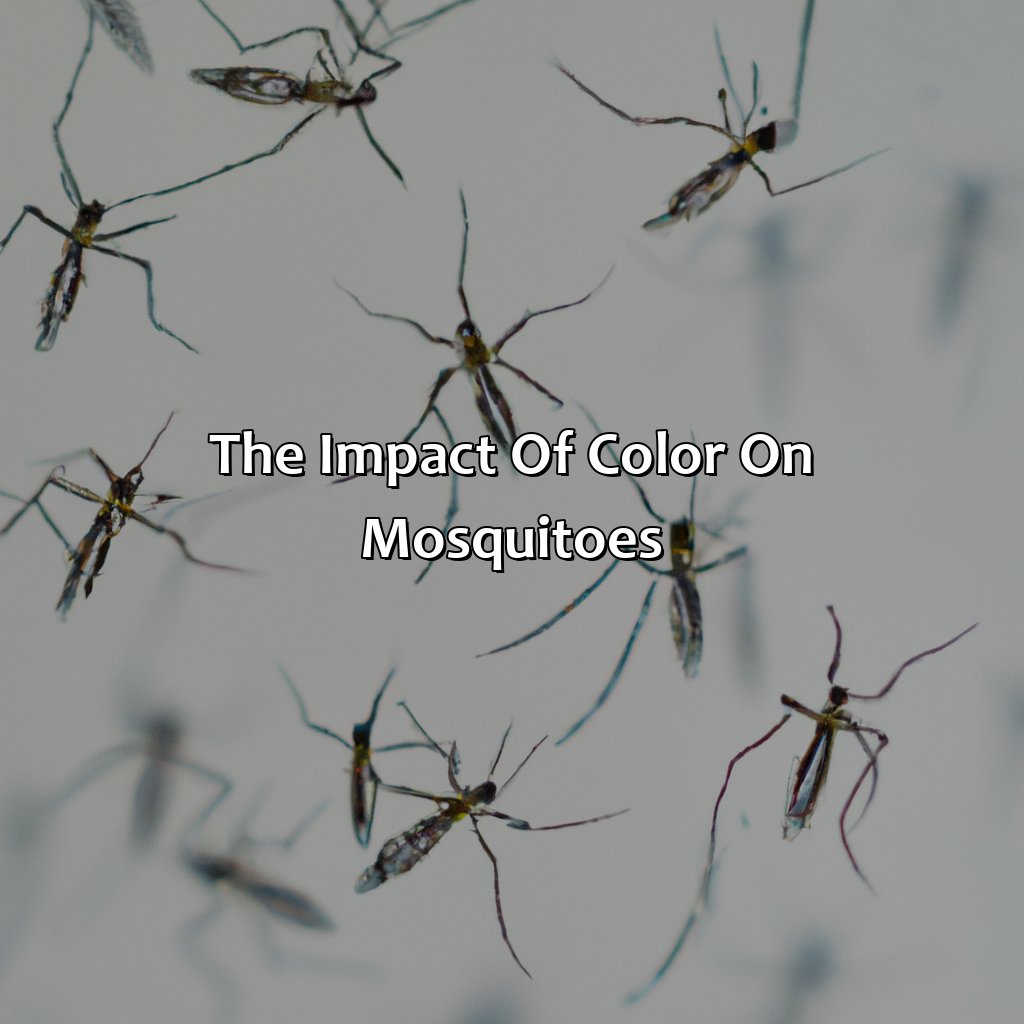 The Impact Of Color On Mosquitoes  - What Color Do Mosquitoes Hate, 