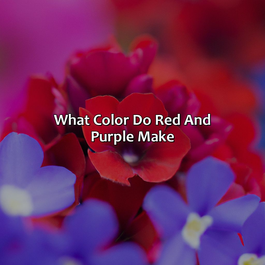 What Color Do Red And Purple Make?  - What Color Do Purple And Red Make, 