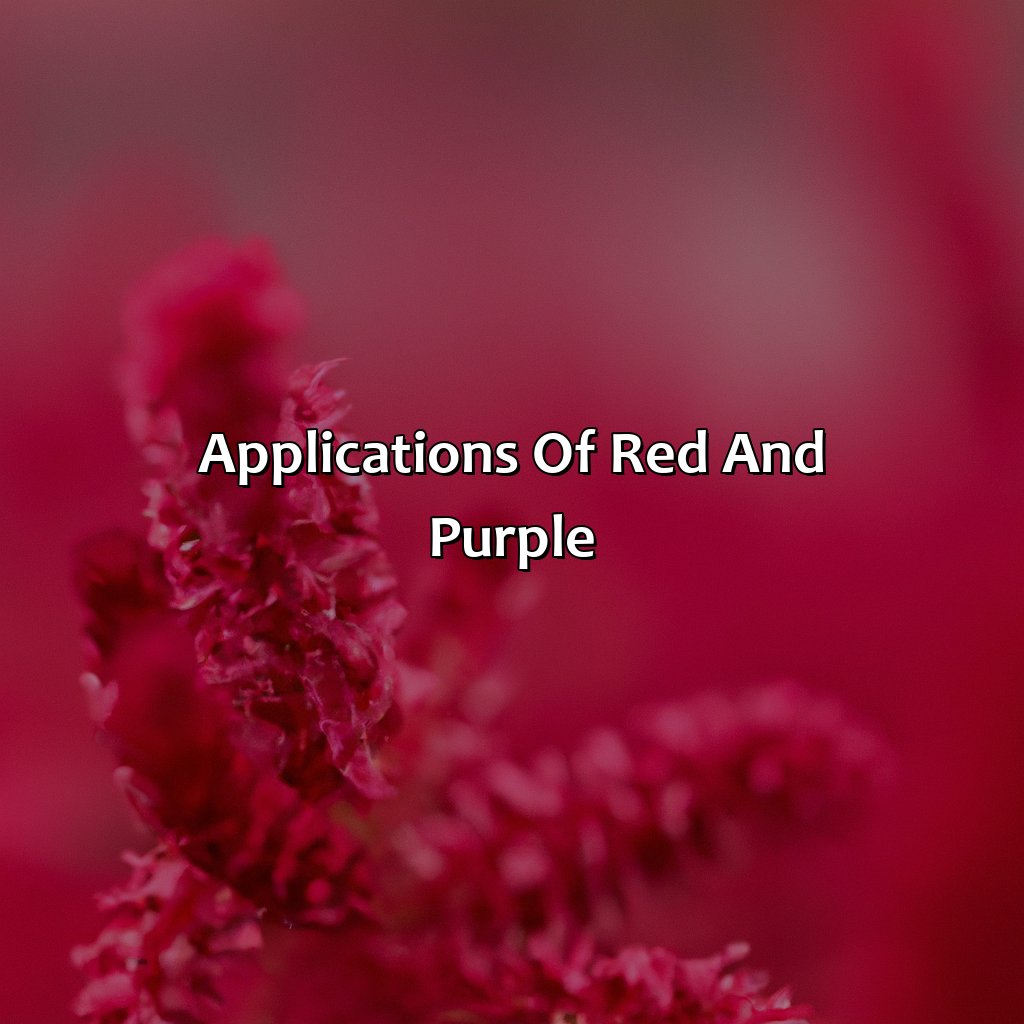 Applications Of Red And Purple  - What Color Do Purple And Red Make, 