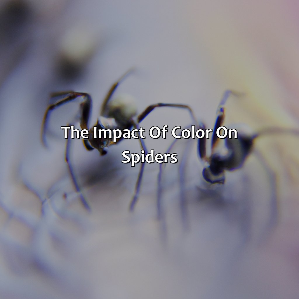 The Impact Of Color On Spiders  - What Color Do Spiders Hate, 