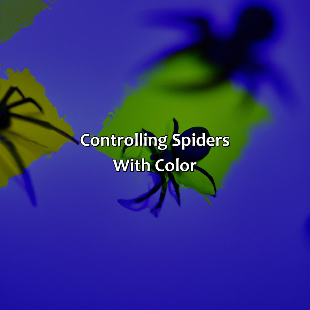 Controlling Spiders With Color  - What Color Do Spiders Hate, 