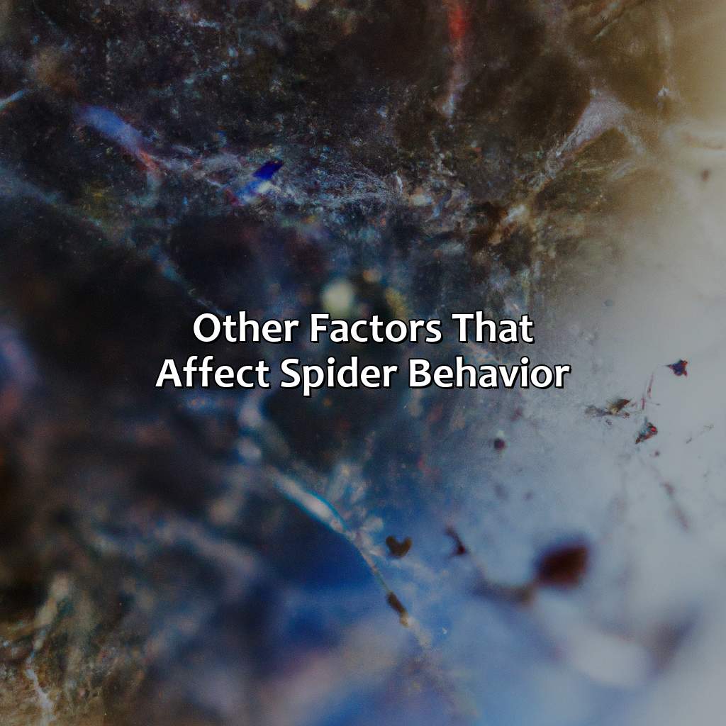 Other Factors That Affect Spider Behavior  - What Color Do Spiders Hate, 