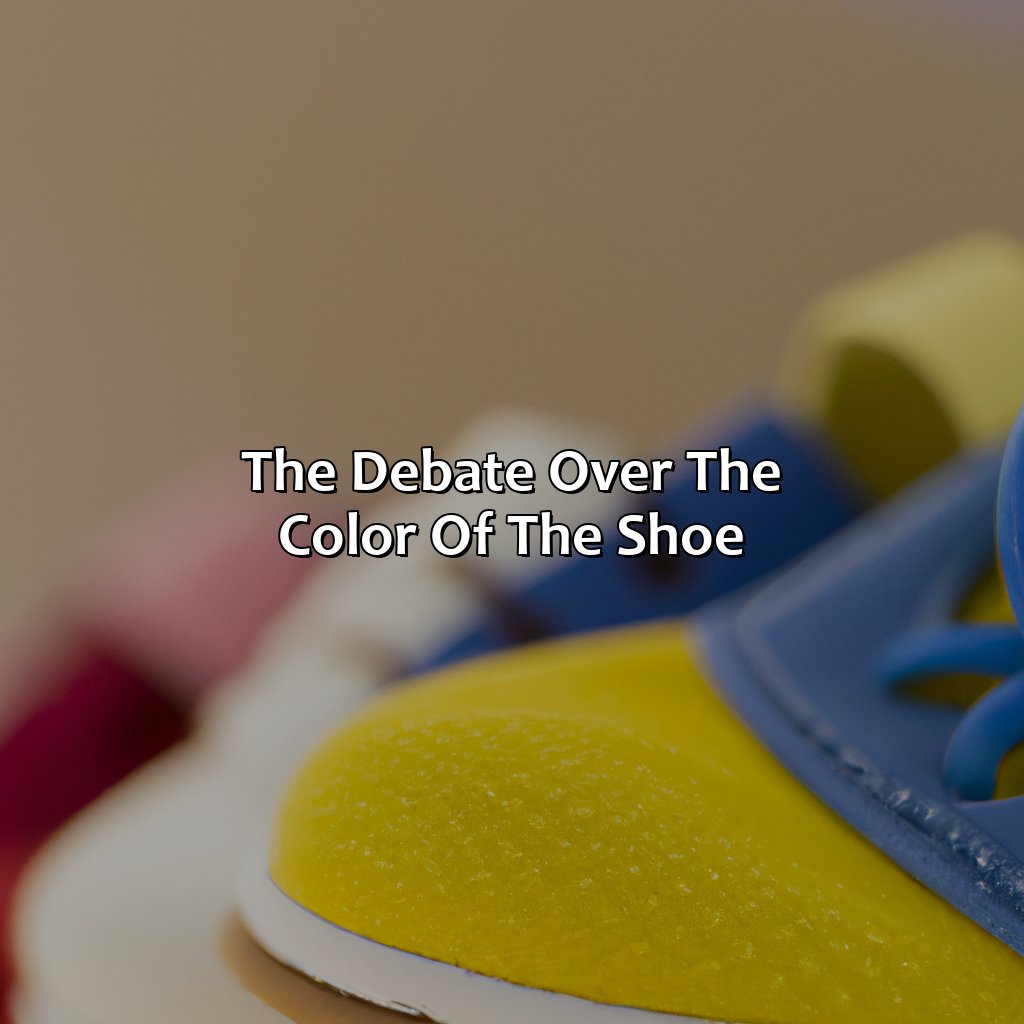 The Debate Over The Color Of The Shoe  - What Color Do You See Shoe, 