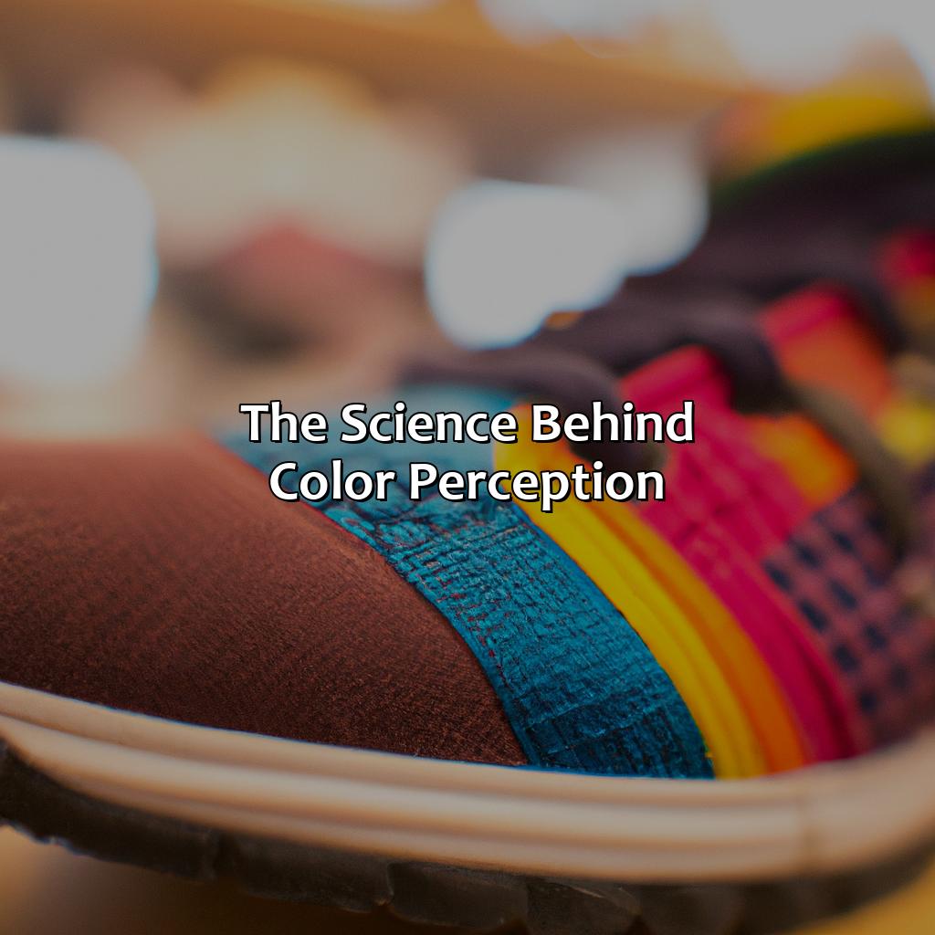 The Science Behind Color Perception  - What Color Do You See Shoe, 