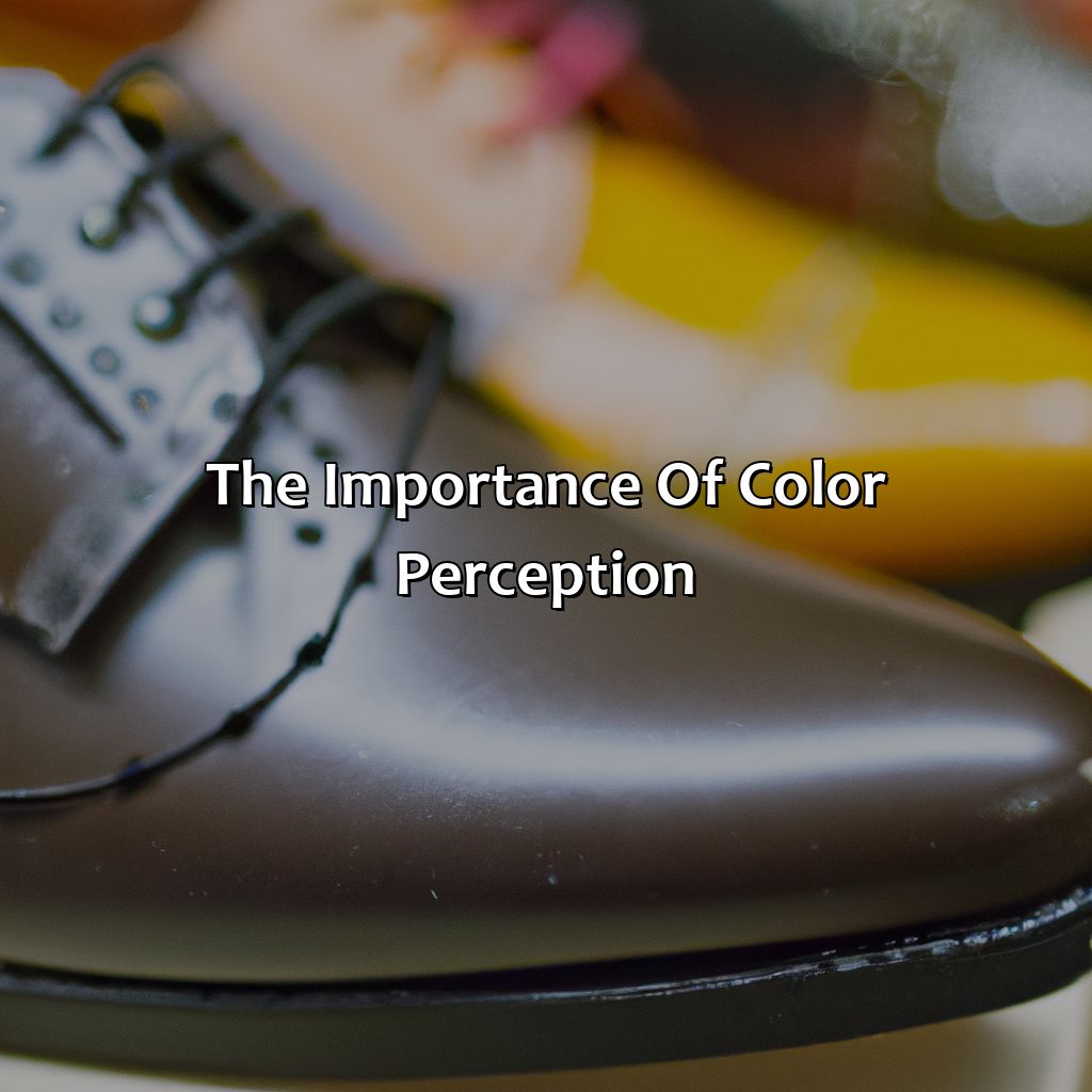 The Importance Of Color Perception  - What Color Do You See Shoe, 