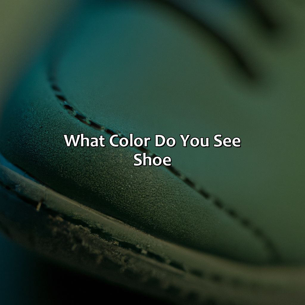 What Color Do You See Shoe - colorscombo.com