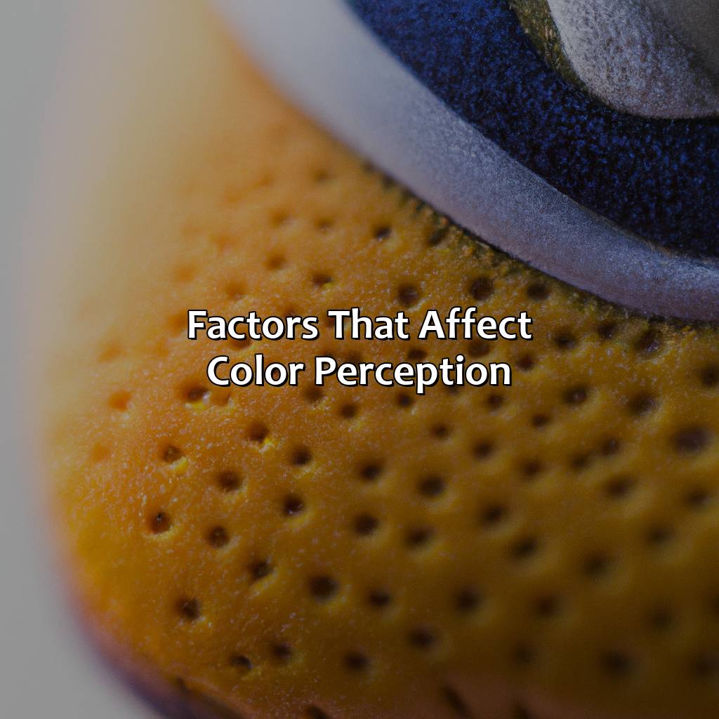 Factors That Affect Color Perception  - What Color Do You See Shoe, 