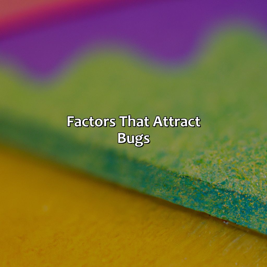 Factors That Attract Bugs  - What Color Does Not Attract Bugs, 