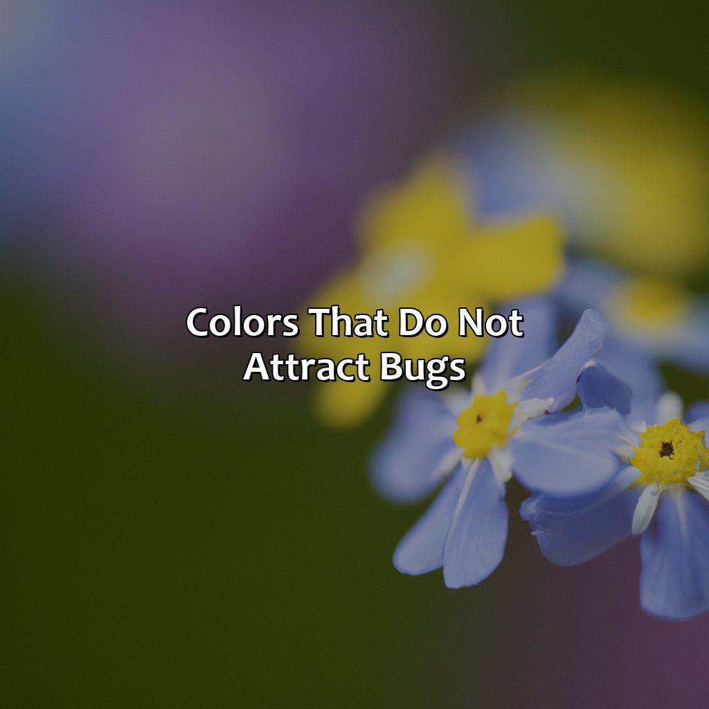 Colors That Do Not Attract Bugs  - What Color Does Not Attract Bugs, 