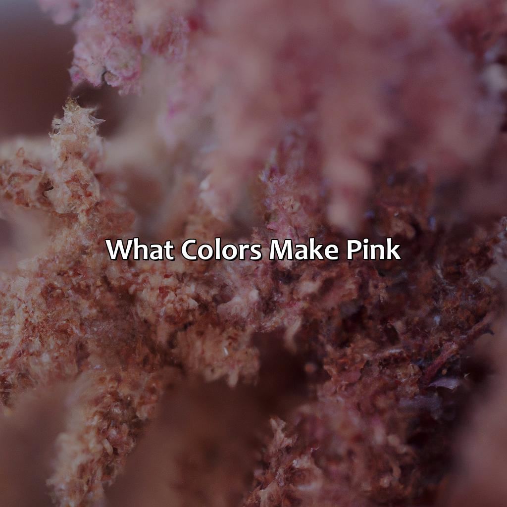 What Colors Make Pink?  - What Color Does Pink And Brown Make, 