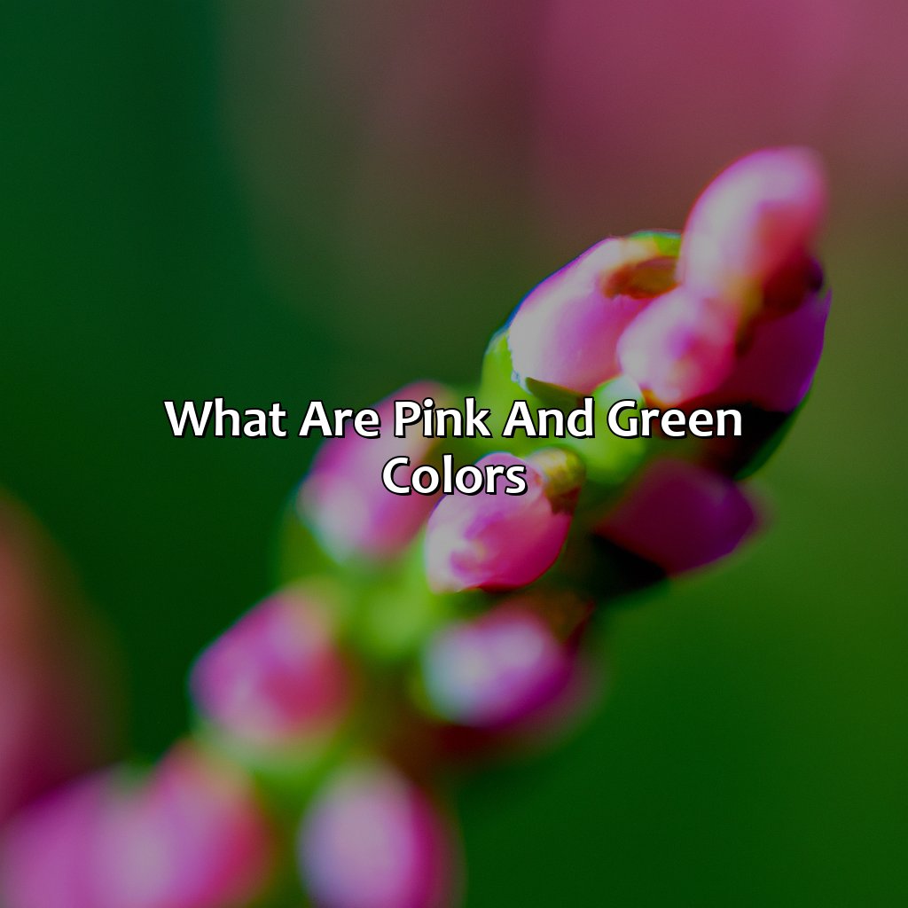 What Color Does Pink And Green Make - colorscombo.com