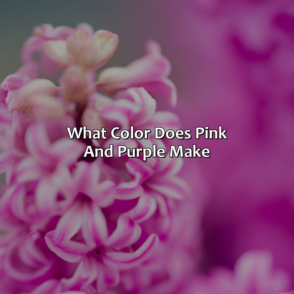 What Color Does Pink And Purple Make - colorscombo.com