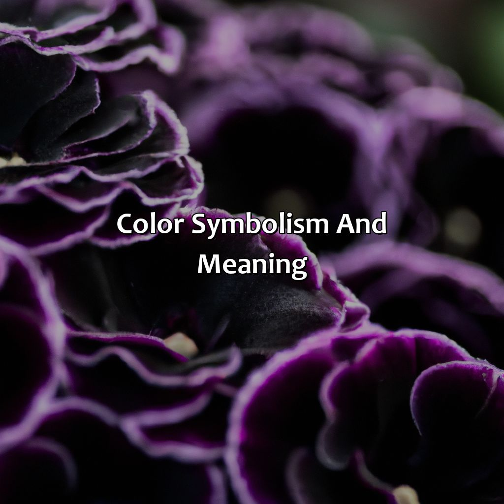 Color Symbolism And Meaning  - What Color Does Purple And Black Make, 