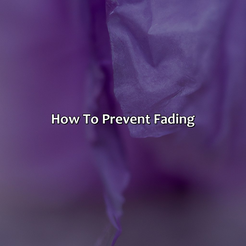 How To Prevent Fading  - What Color Does Purple Fade To, 