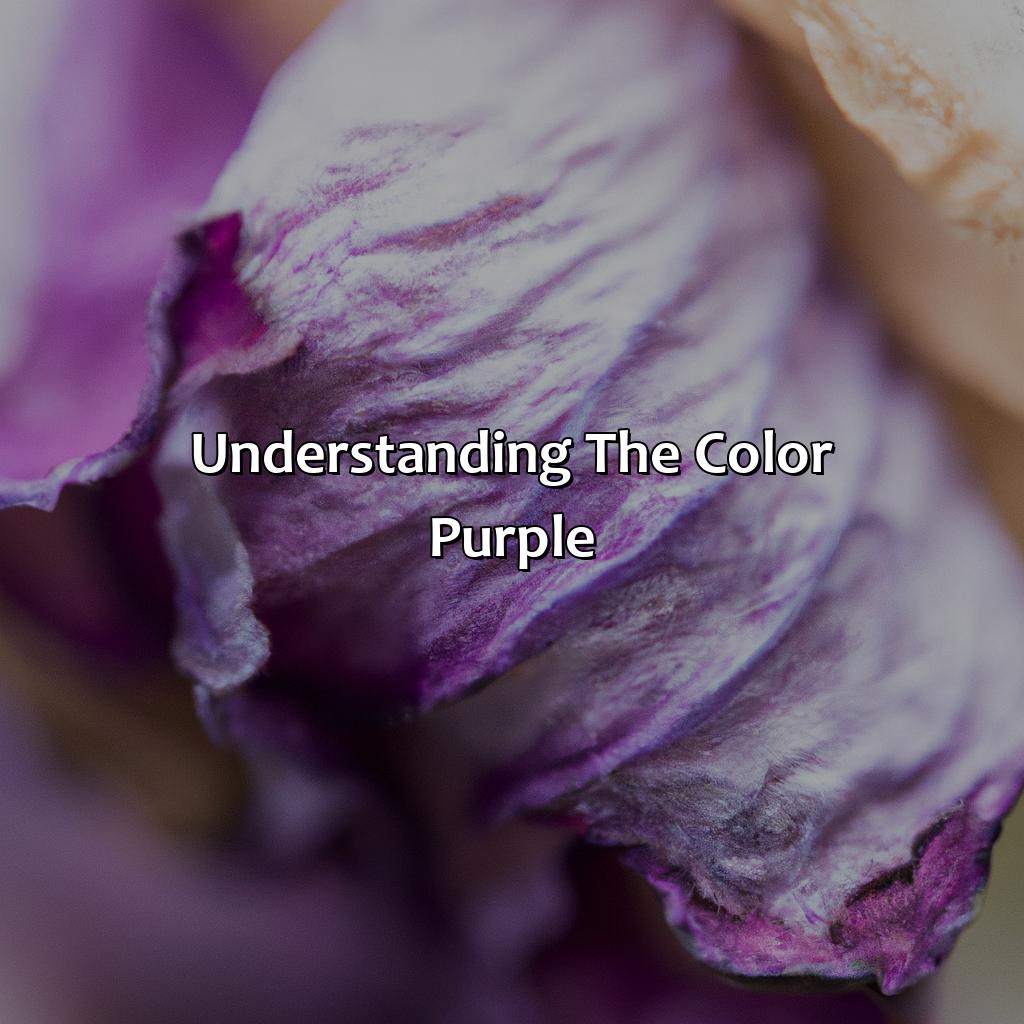 Understanding The Color Purple  - What Color Does Purple Fade To, 