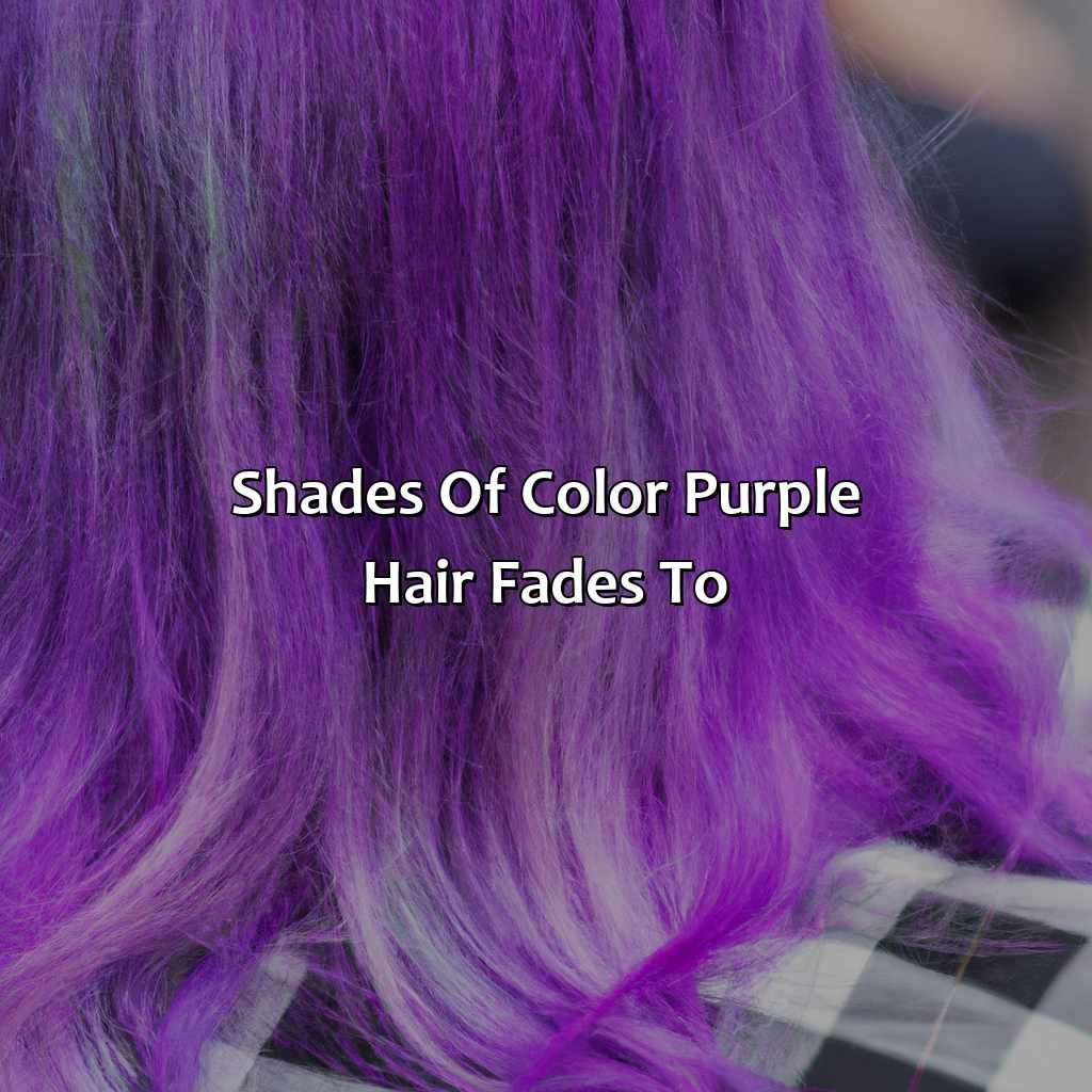 Shades Of Color Purple Hair Fades To  - What Color Does Purple Hair Fade To, 