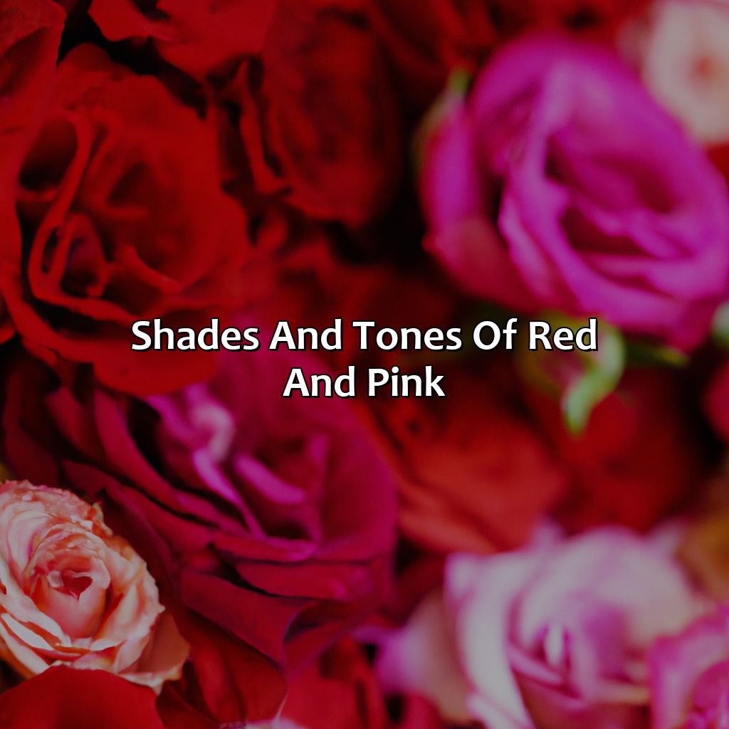 Shades And Tones Of Red And Pink  - What Color Does Red And Pink Make, 