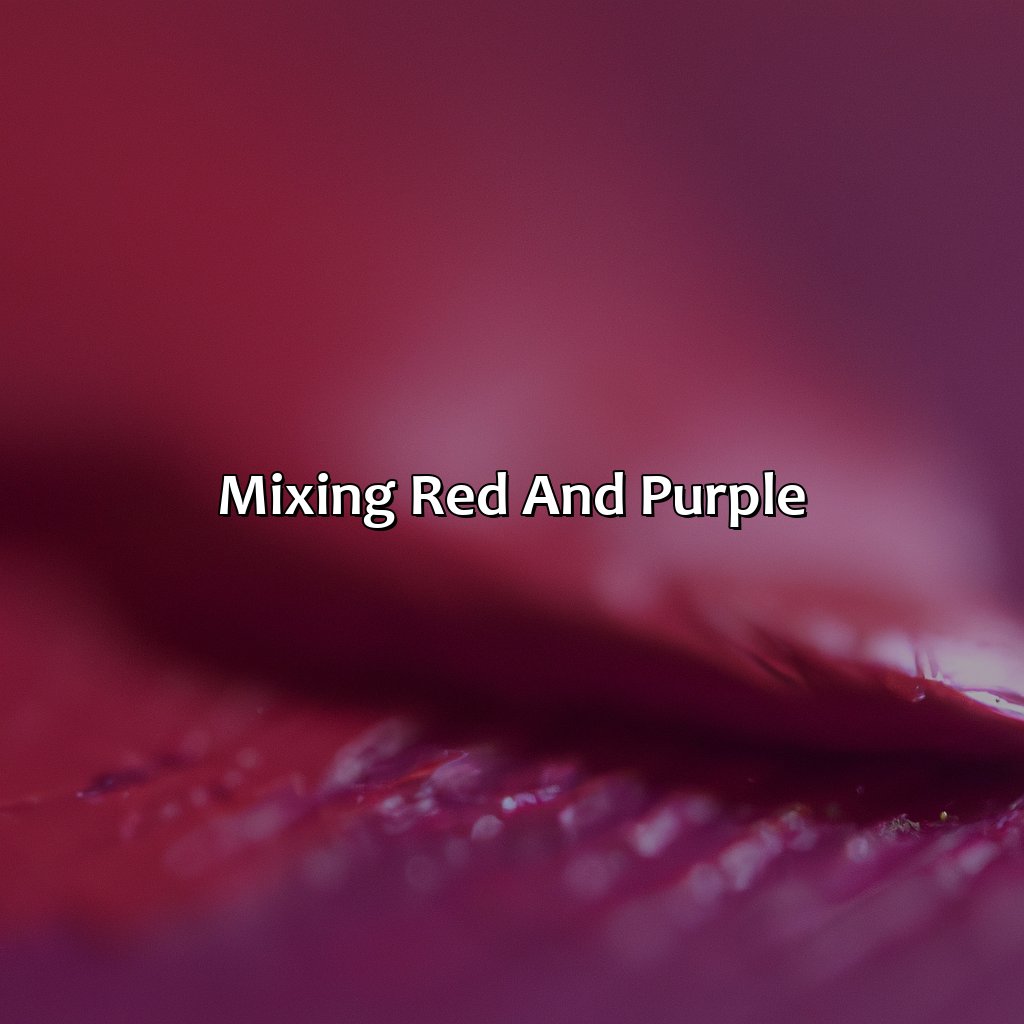 Mixing Red And Purple  - What Color Does Red And Purple Make, 