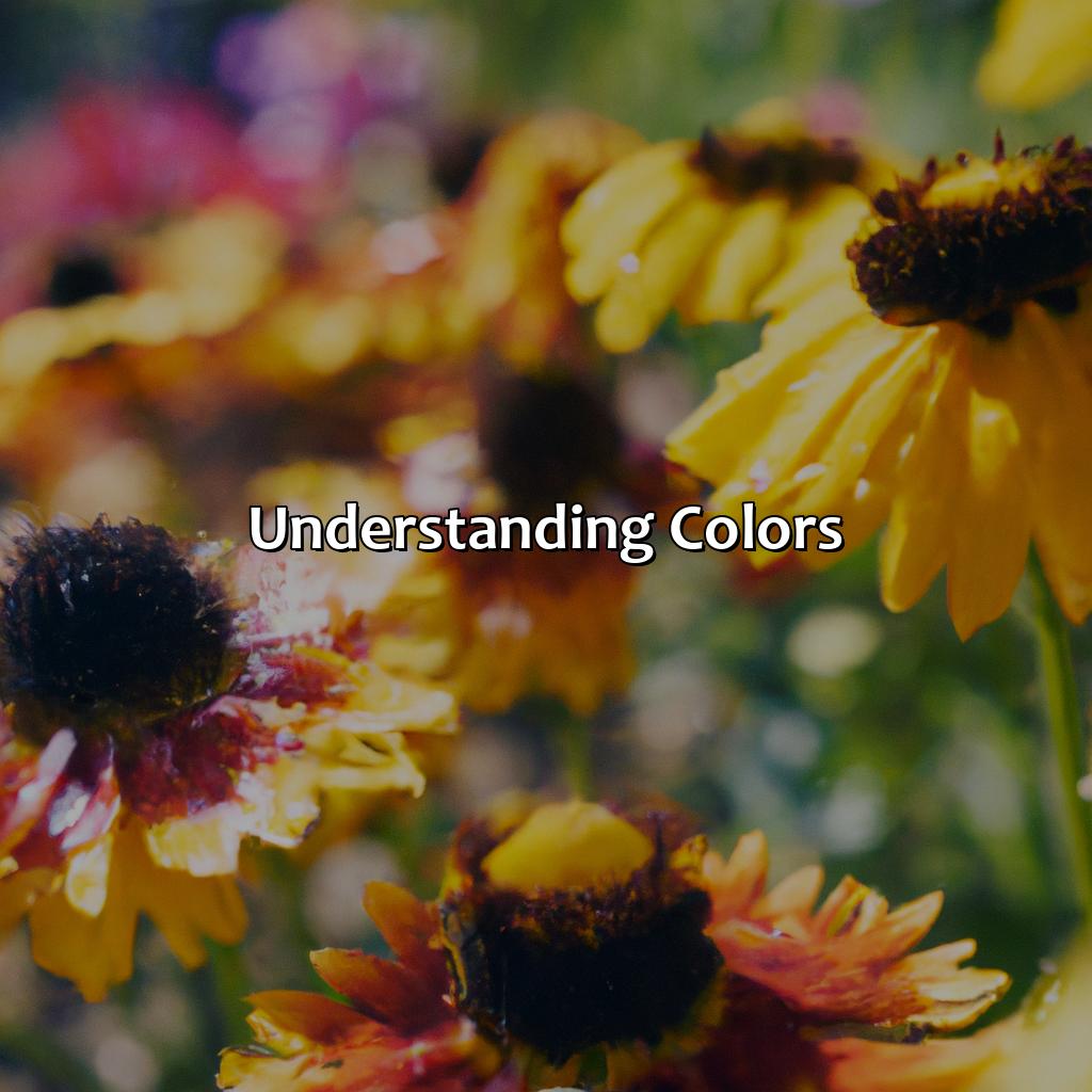 Understanding Colors  - What Color Does Yellow And Orange Make, 
