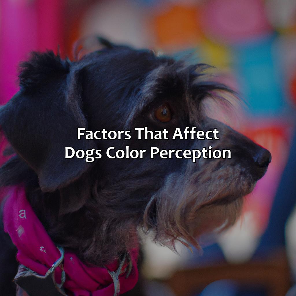Factors That Affect Dogs’ Color Perception  - What Color Dogs See, 