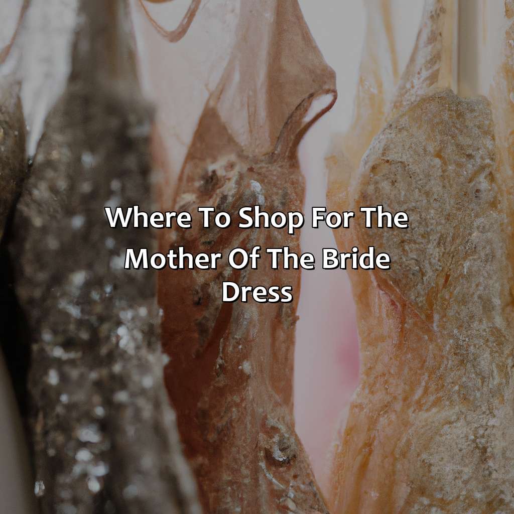 Where To Shop For The Mother Of The Bride Dress  - What Color Dress Should The Mother Of The Bride Wear, 