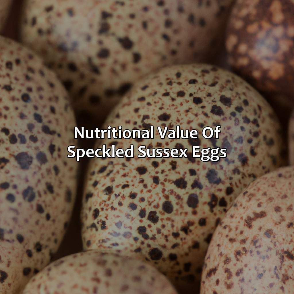 Nutritional Value Of Speckled Sussex Eggs  - What Color Eggs Do Speckled Sussex Lay, 