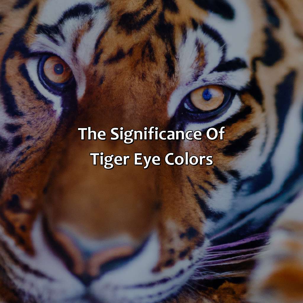 The Significance Of Tiger Eye Colors  - What Color Eyes Do Tigers Have, 