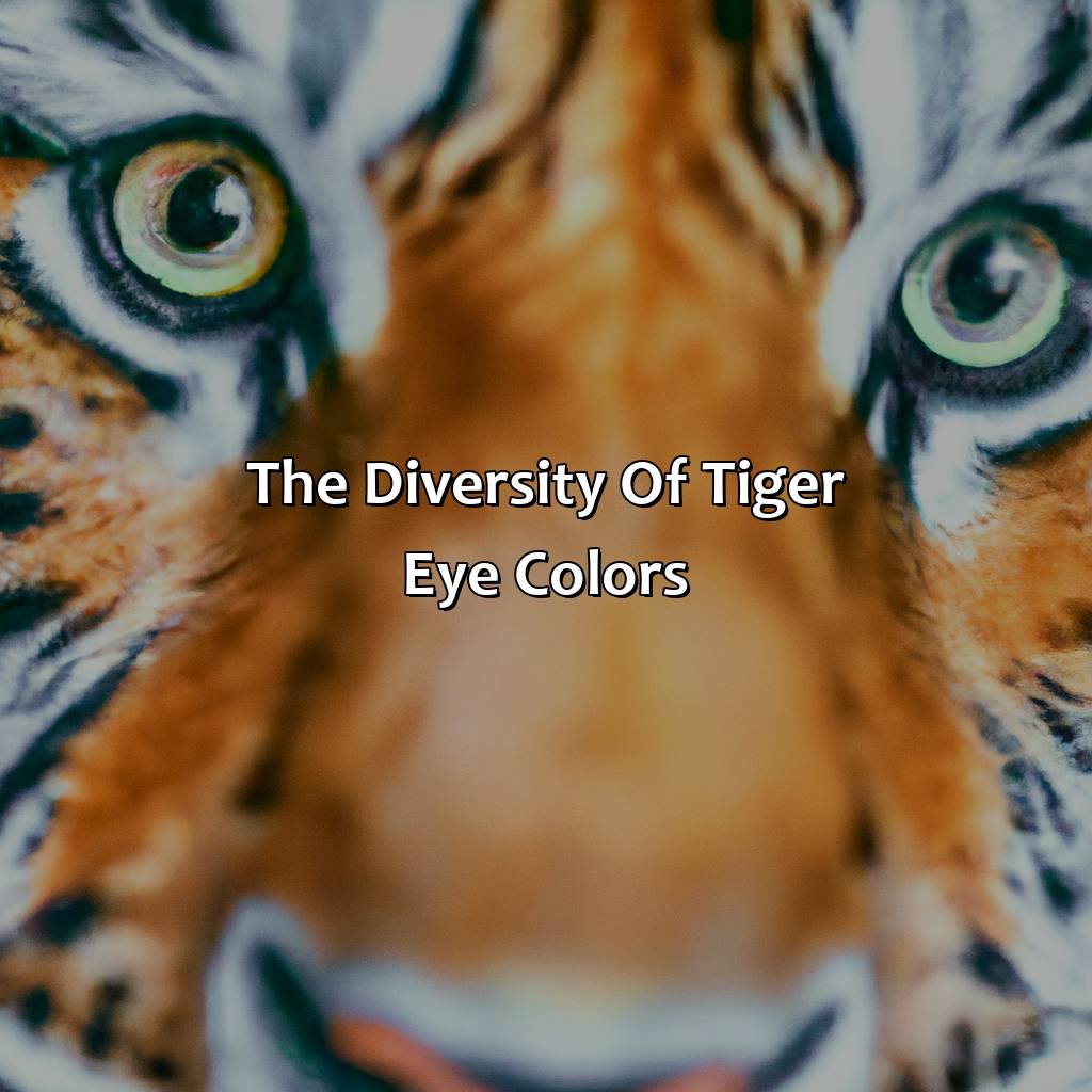 The Diversity Of Tiger Eye Colors  - What Color Eyes Do Tigers Have, 
