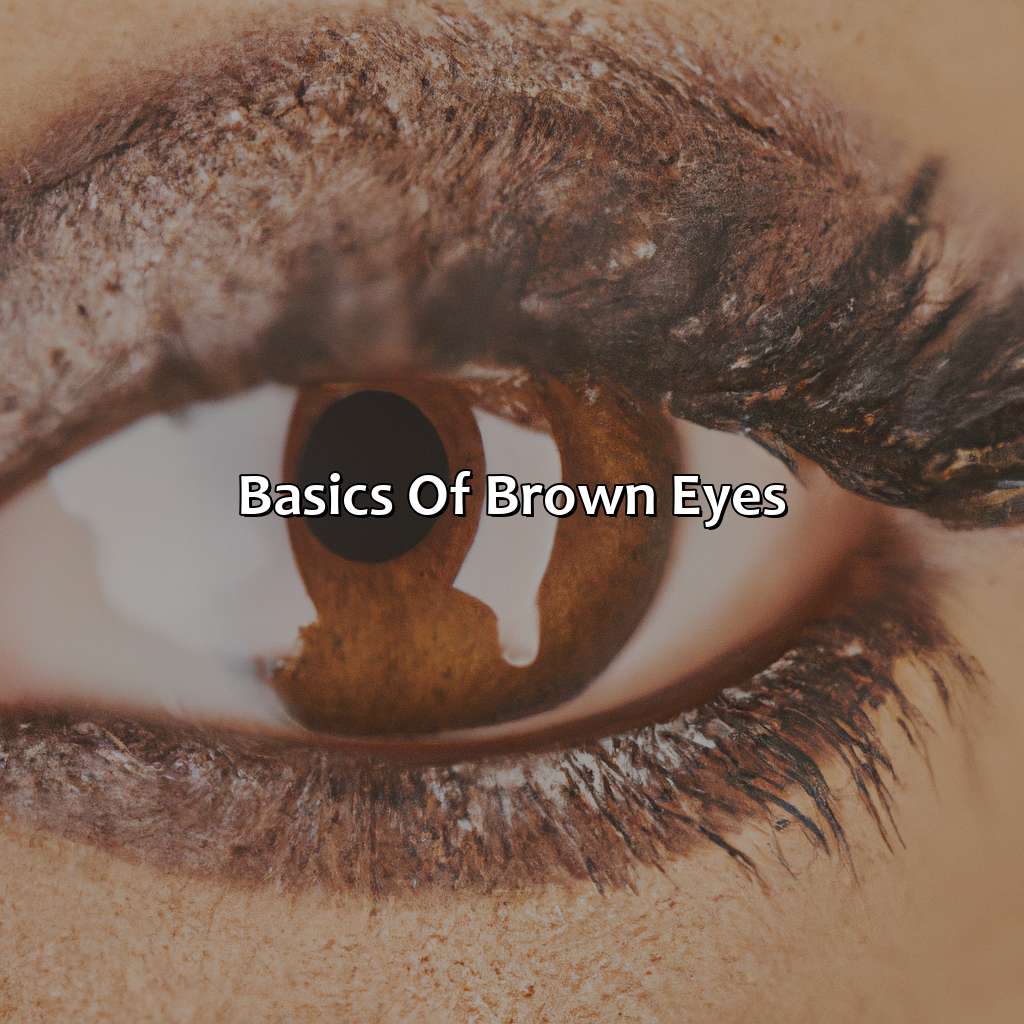 Basics Of Brown Eyes  - What Color Eyeshadow For Brown Eyes, 