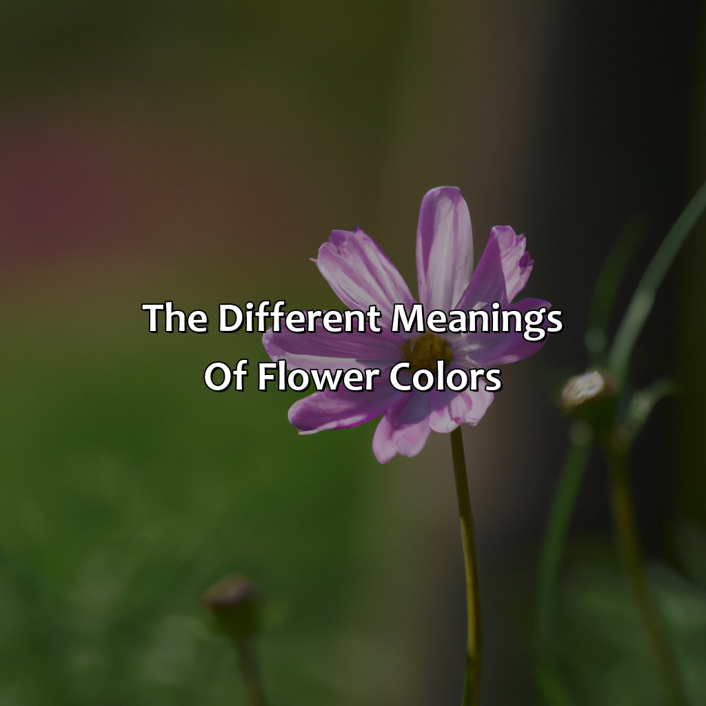 The Different Meanings Of Flower Colors  - What Color Flowers For Sympathy, 