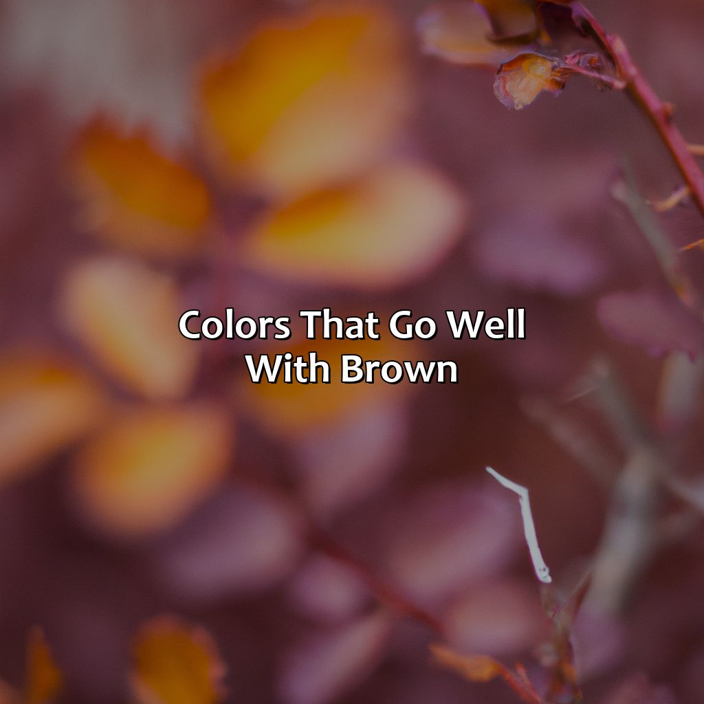 Colors That Go Well With Brown  - What Color Goes Best With Brown, 
