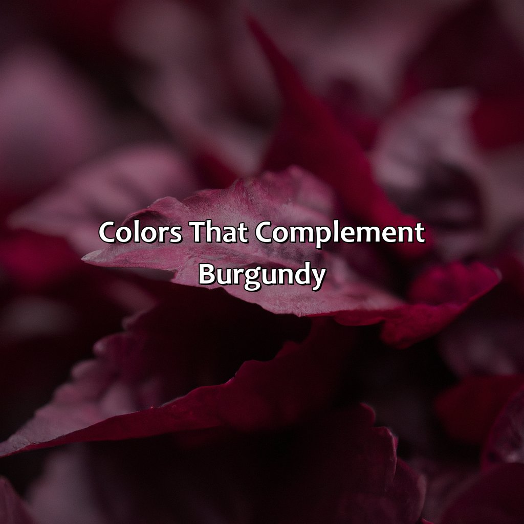 Colors That Complement Burgundy  - What Color Goes Best With Burgundy, 
