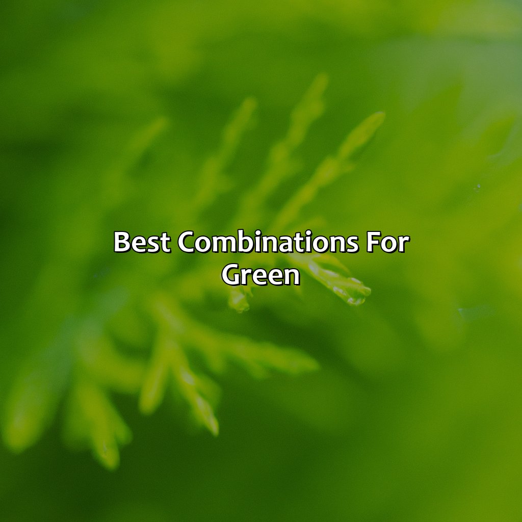Best Combinations For Green  - What Color Goes Best With Green, 