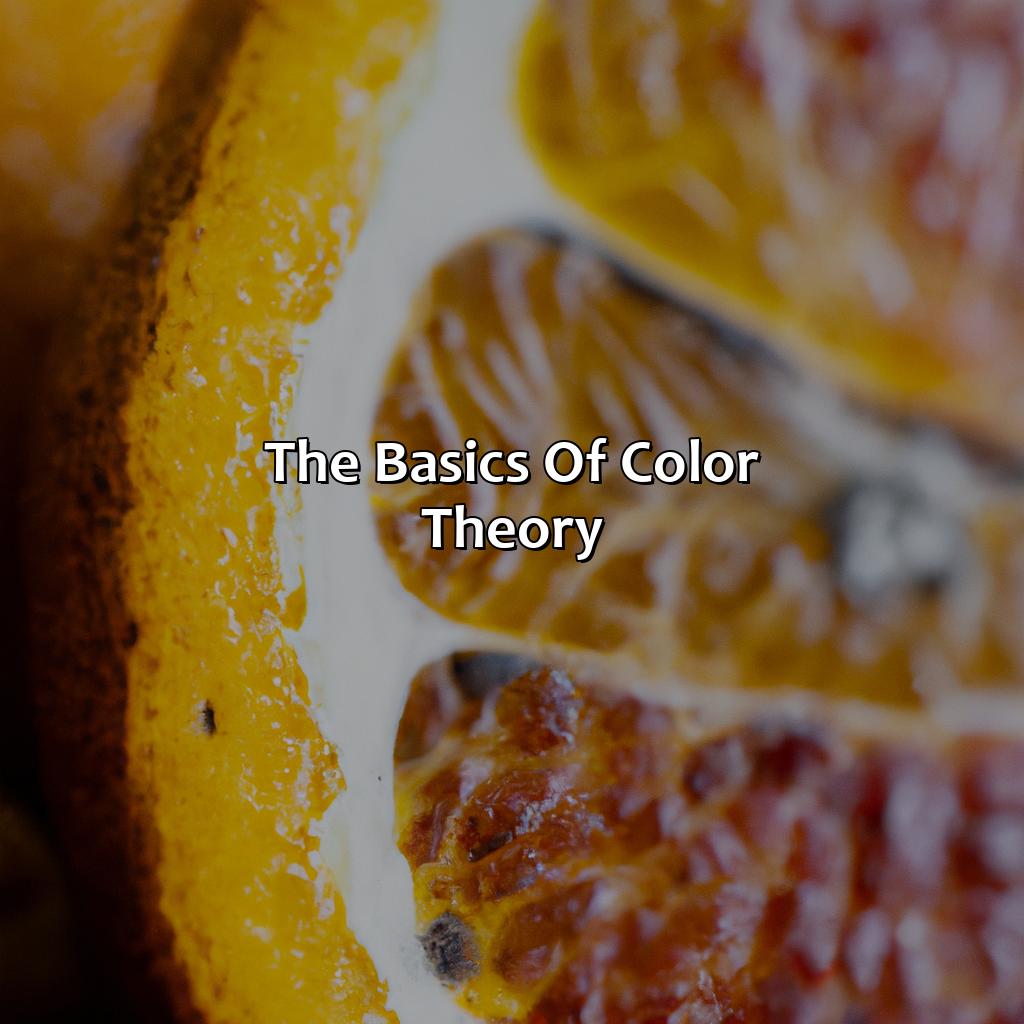 The Basics Of Color Theory  - What Color Goes Best With Orange, 
