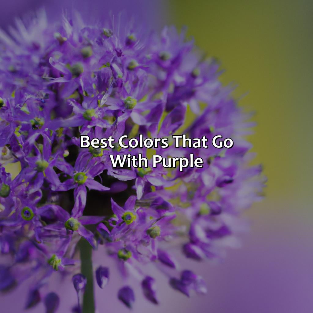 Best Colors That Go With Purple  - What Color Goes Best With Purple, 