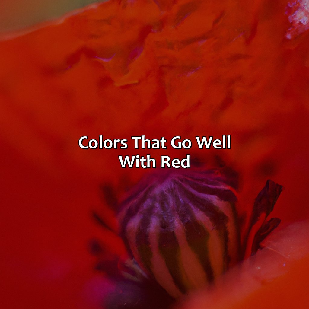 Colors That Go Well With Red  - What Color Goes Best With Red, 