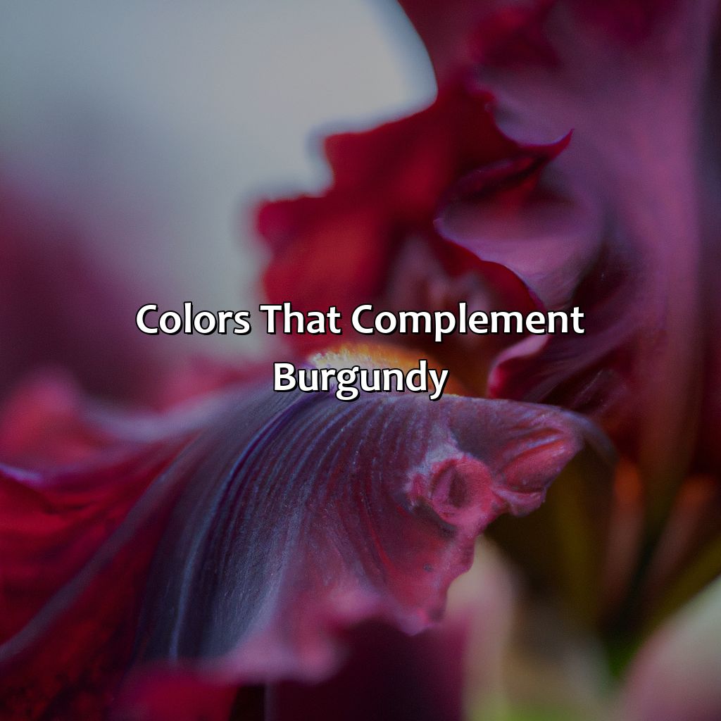 Colors That Complement Burgundy  - What Color Goes Good With Burgundy, 
