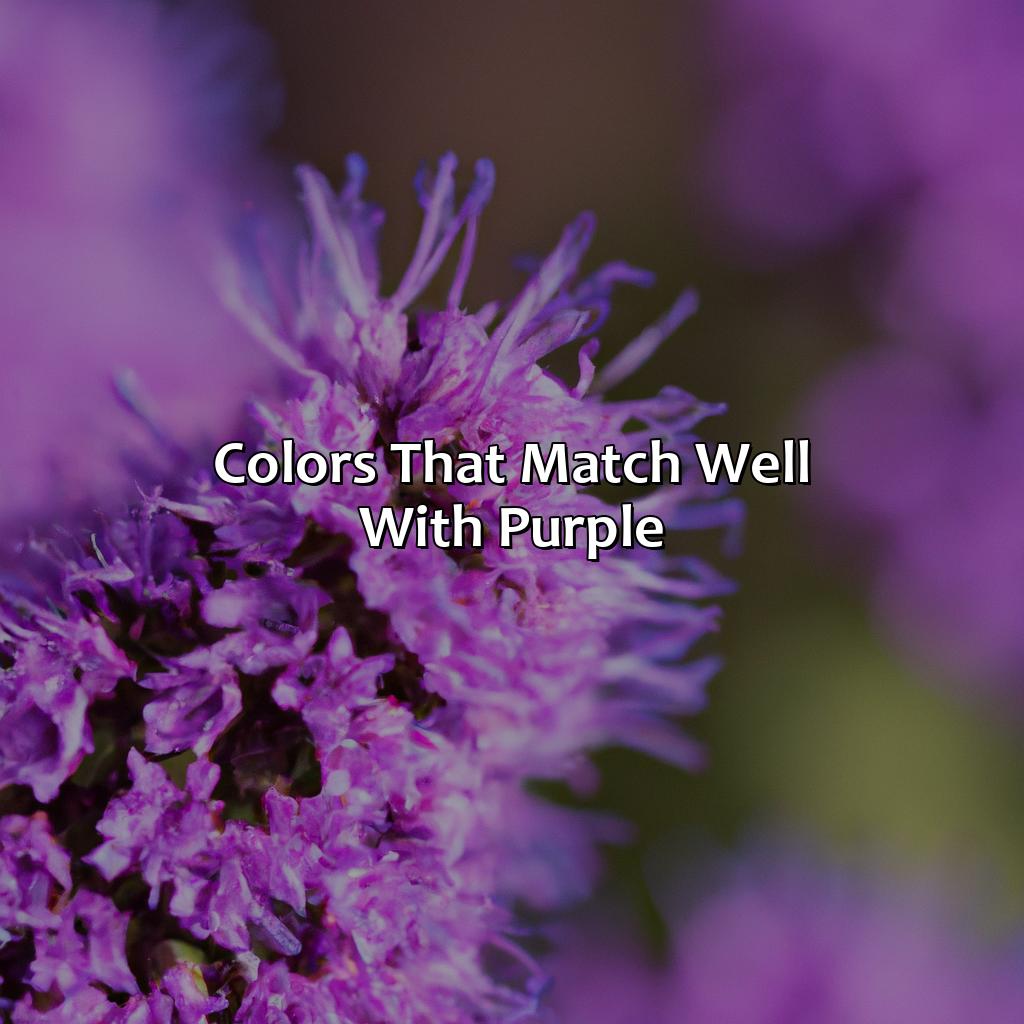 What Color Goes Good With Purple - colorscombo.com