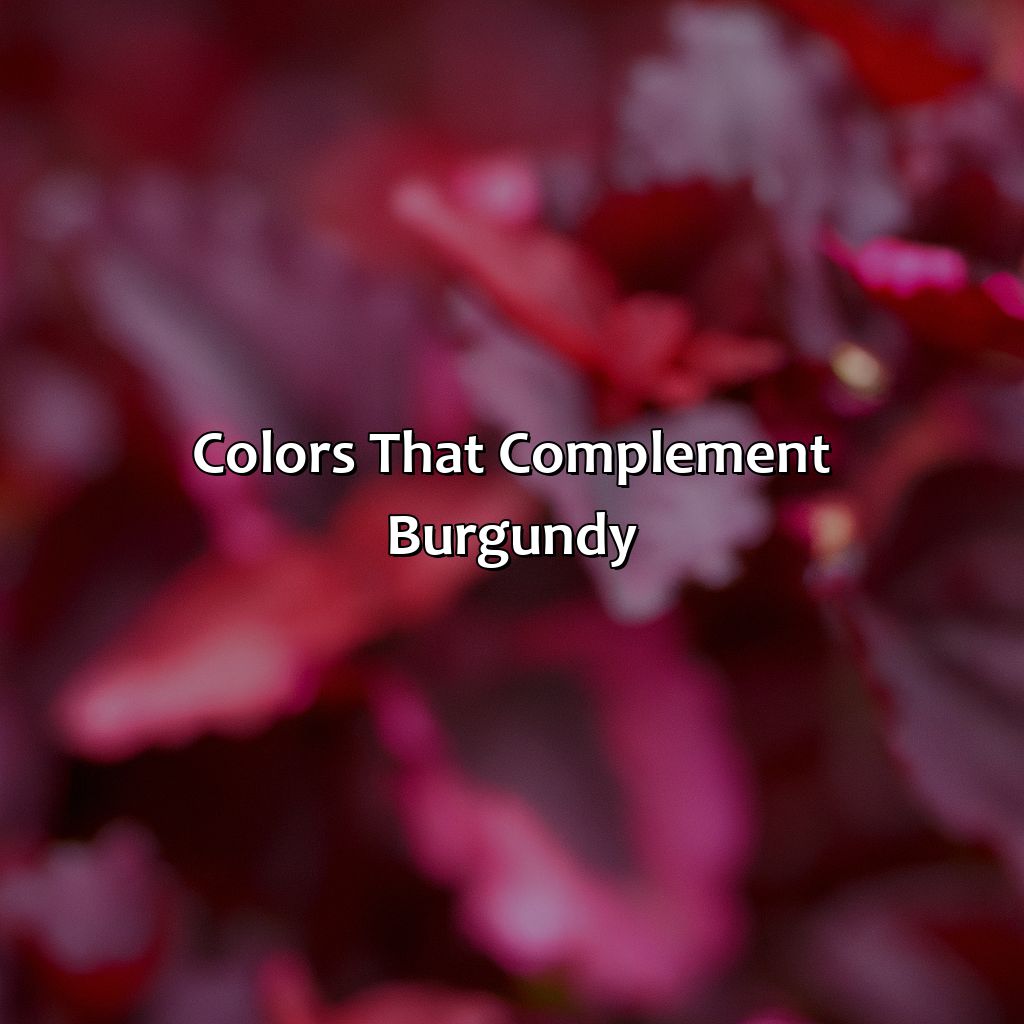 Colors That Complement Burgundy  - What Color Goes Well With Burgundy, 