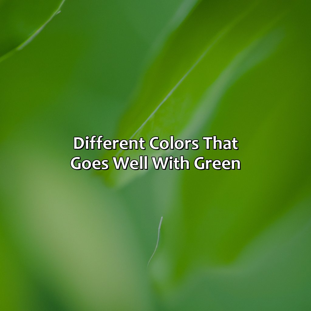 Different Colors That Goes Well With Green  - What Color Goes Well With Green, 