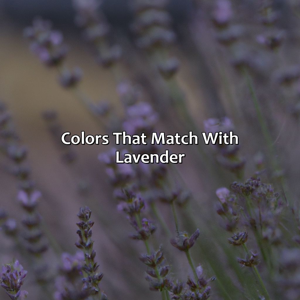 Colors That Match With Lavender  - What Color Goes Well With Lavender, 