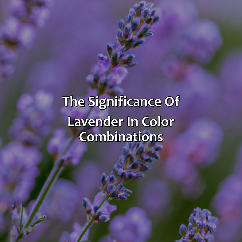 The Significance Of Lavender In Color Combinations  - What Color Goes Well With Lavender, 