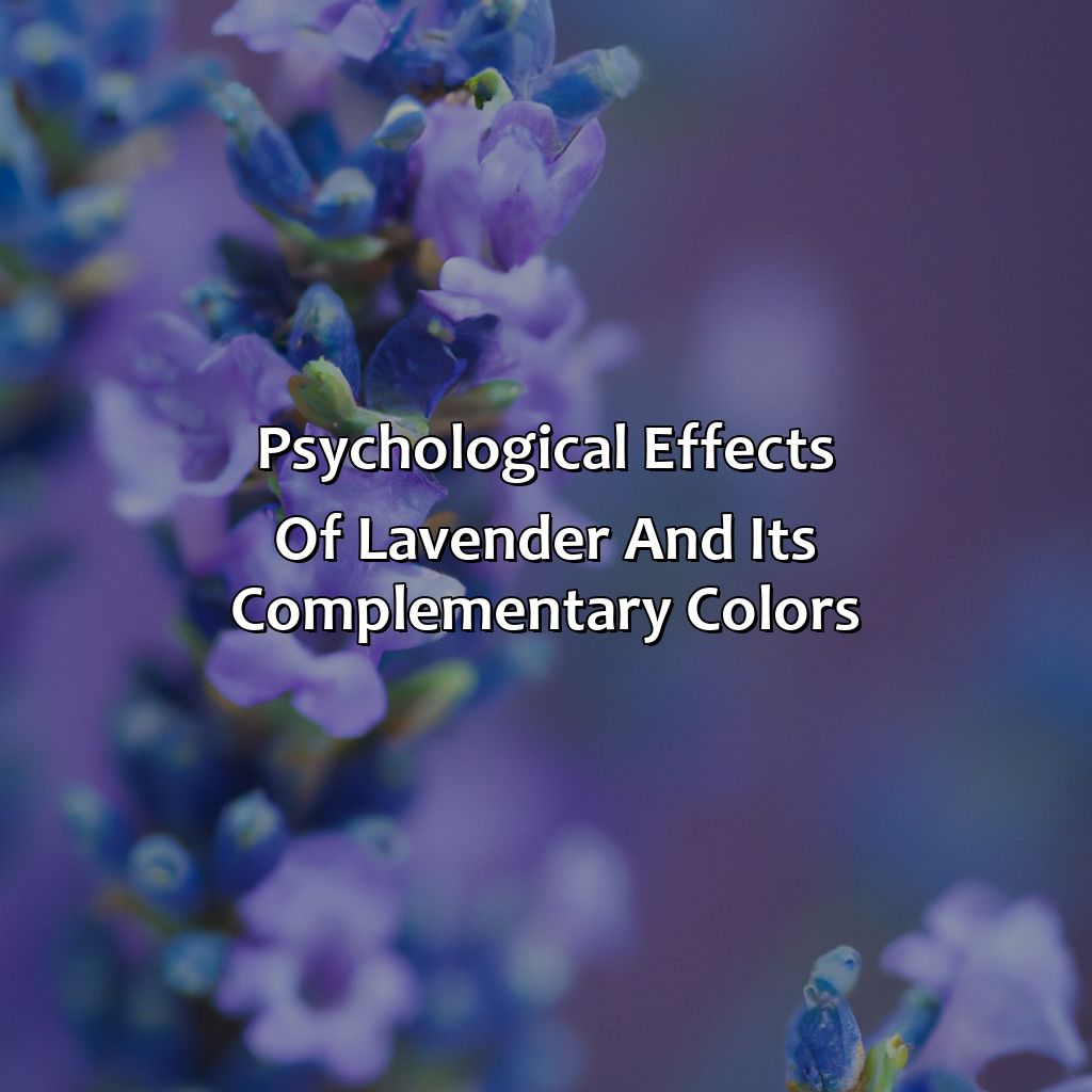 Psychological Effects Of Lavender And Its Complementary Colors  - What Color Goes Well With Lavender, 