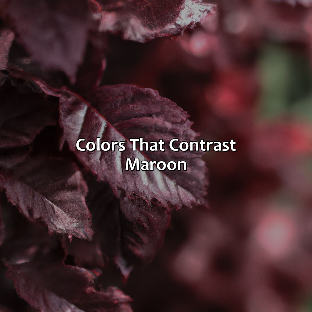 Colors That Contrast Maroon  - What Color Goes Well With Maroon, 