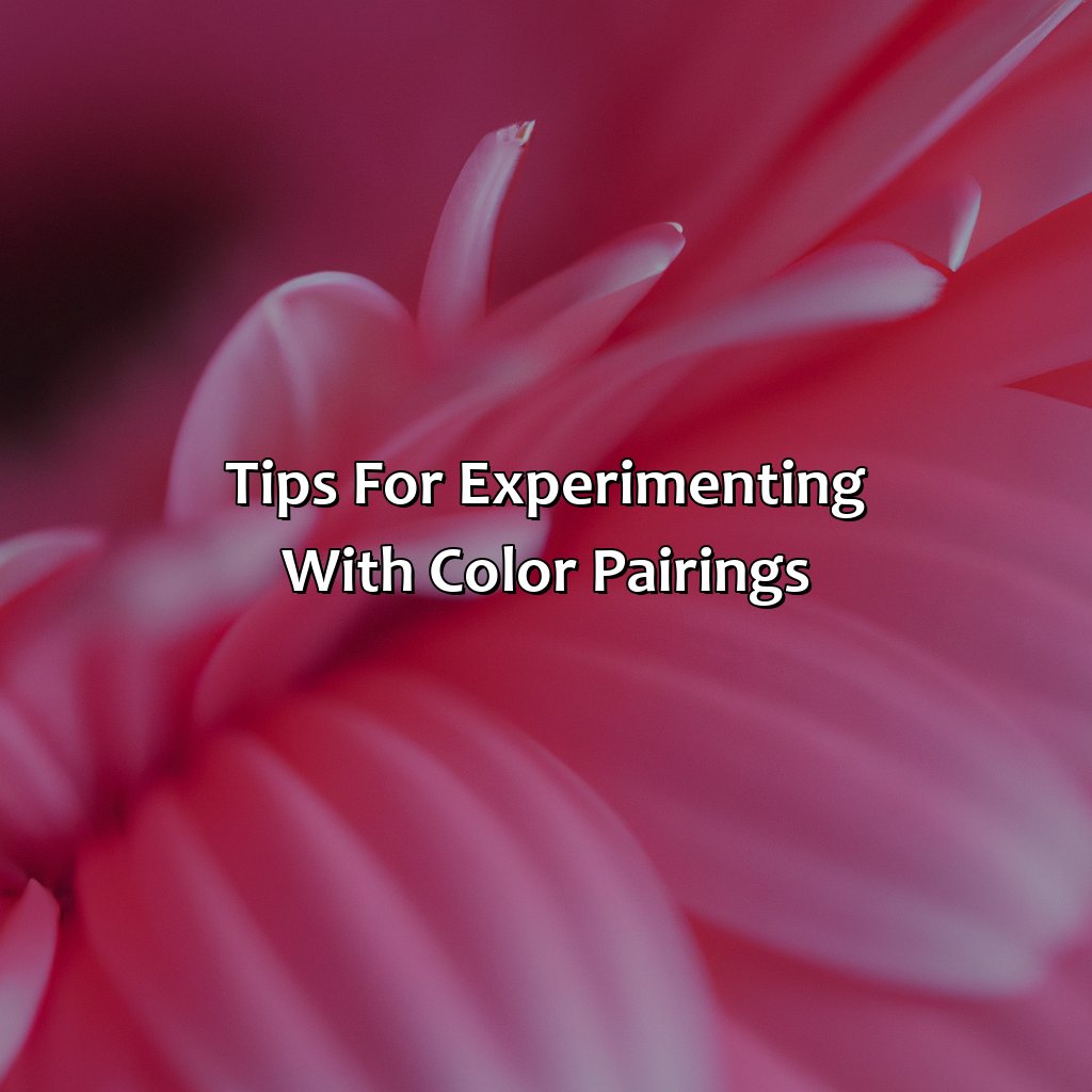 Tips For Experimenting With Color Pairings  - What Color Goes Well With Pink, 