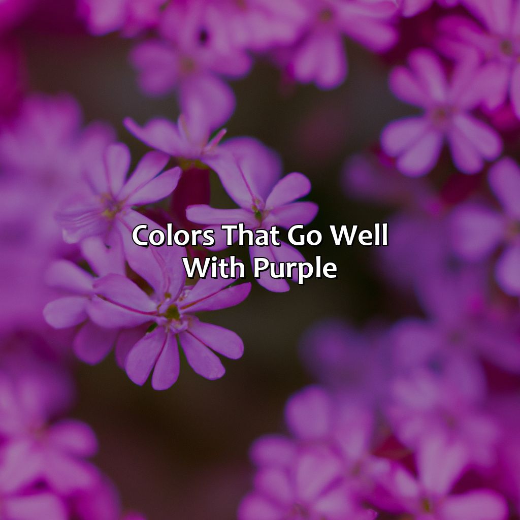 Colors That Go Well With Purple  - What Color Goes Well With Purple, 