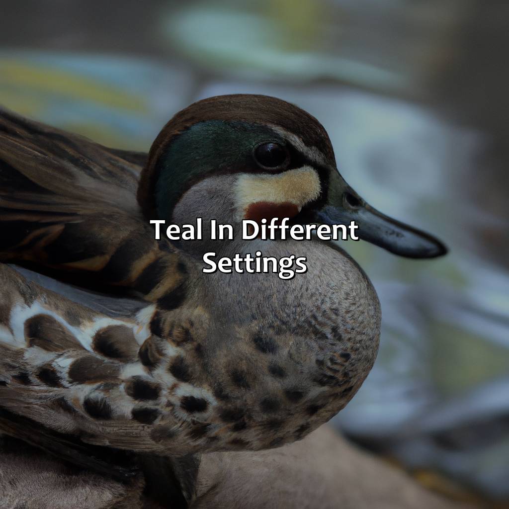 Teal In Different Settings  - What Color Goes Well With Teal, 