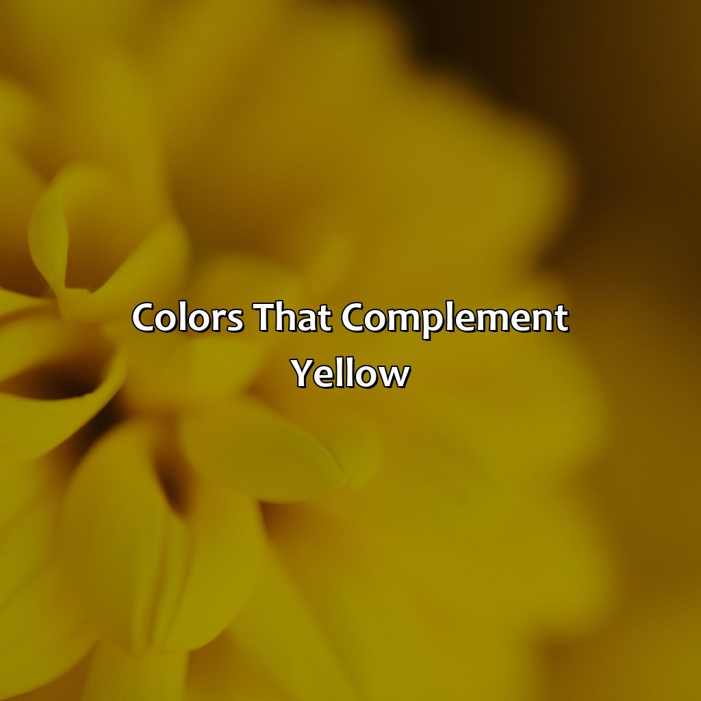Colors That Complement Yellow  - What Color Goes Well With Yellow, 