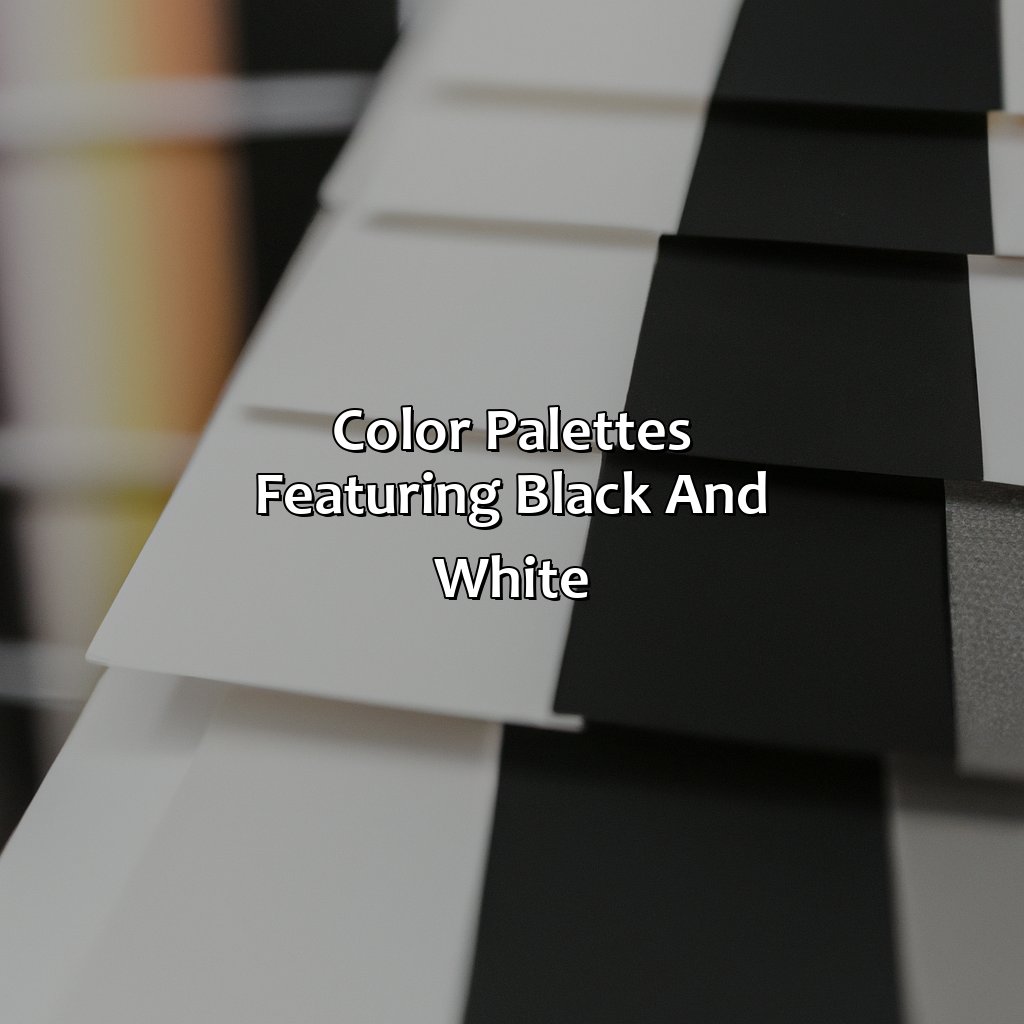 Color Palettes Featuring Black And White  - What Color Goes With Black And White, 